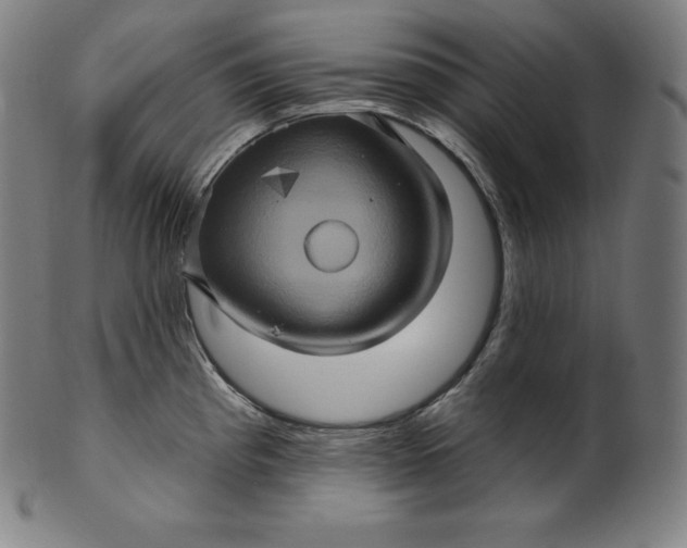 X0000099951193200806061535