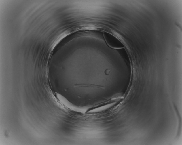 X0000099951194200806061535