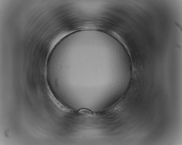 X0000099951195200806061535