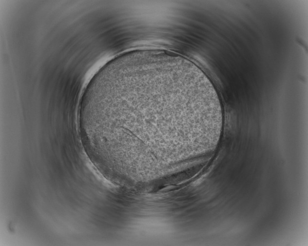 X0000099951196200806061535