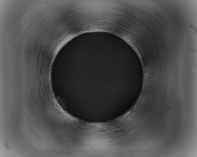 X0000099951197200806061535