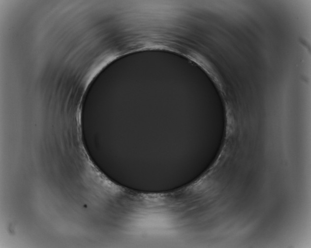 X0000099951198200806061535