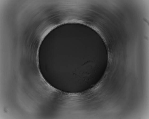 X0000099951199200806061535