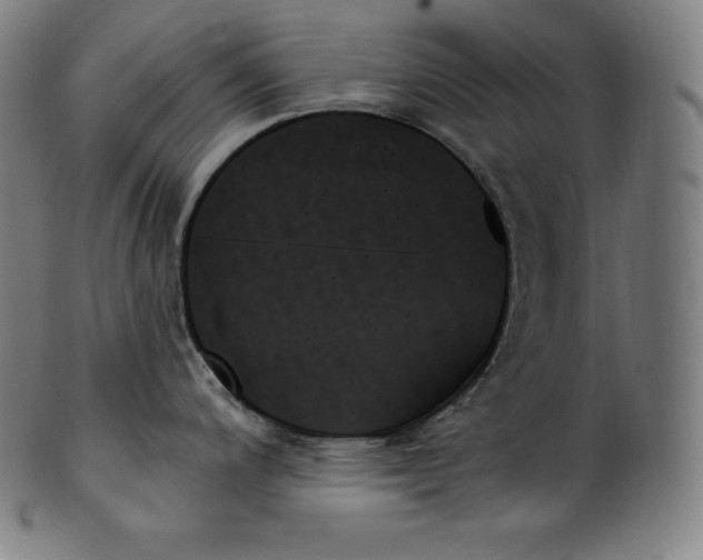 X0000099951200200806061535