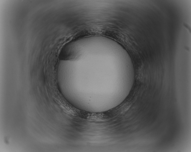 X0000099951201200806061534