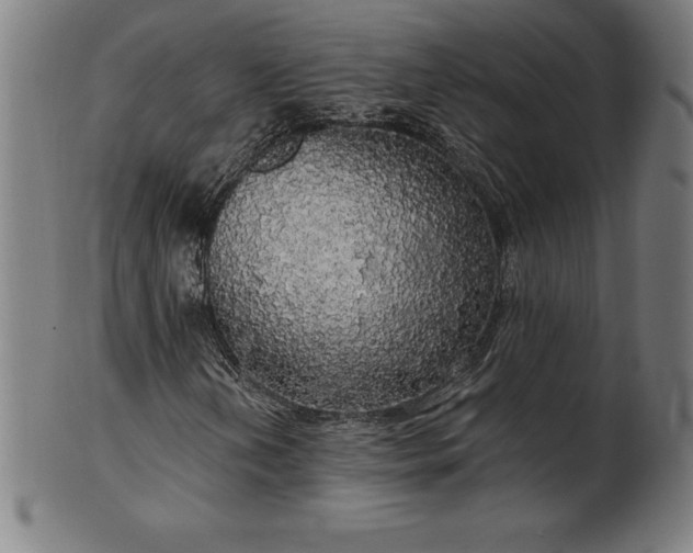 X0000099951202200806061534