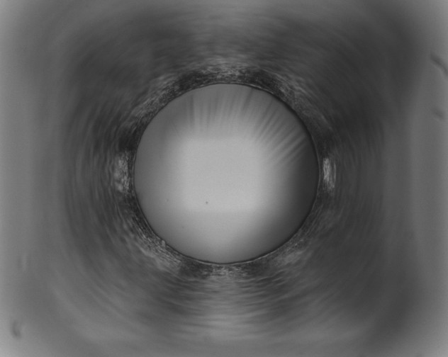 X0000099951203200806061534