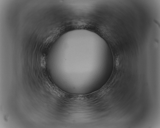 X0000099951204200806061534