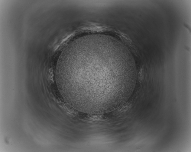 X0000099951205200806061534