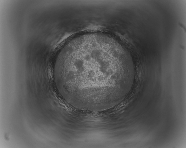 X0000099951206200806061534