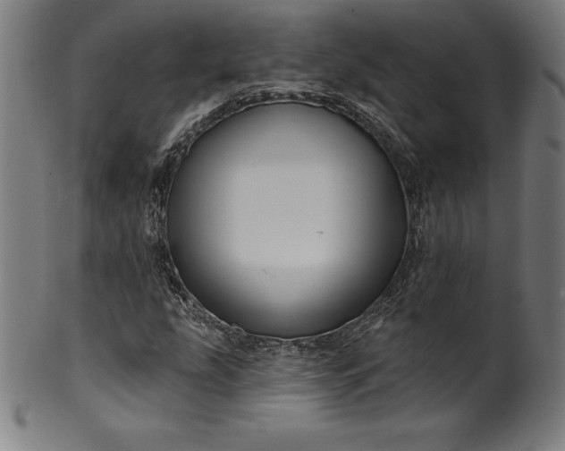 X0000099951207200806061534