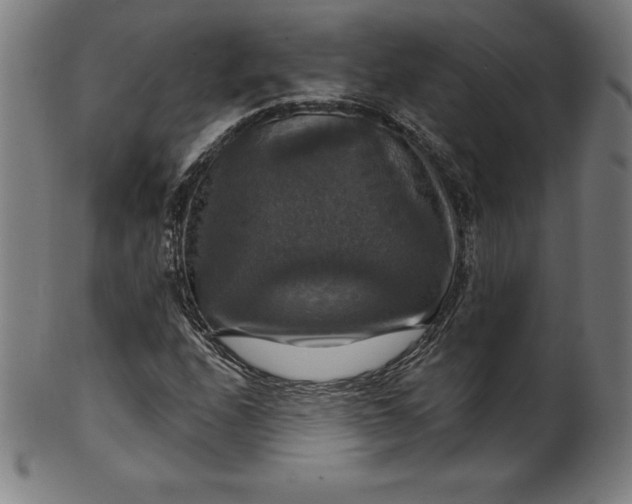 X0000099951208200806061534