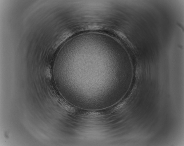 X0000099951209200806061534