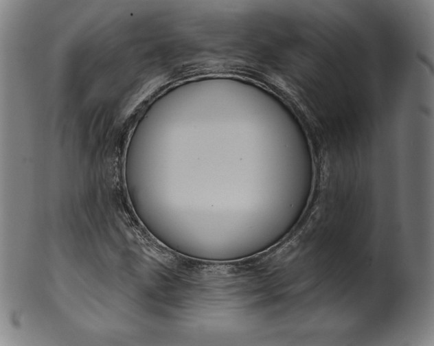 X0000099951211200806061534