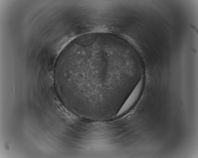 X0000099951212200806061534