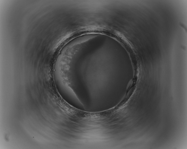 X0000099951213200806061534