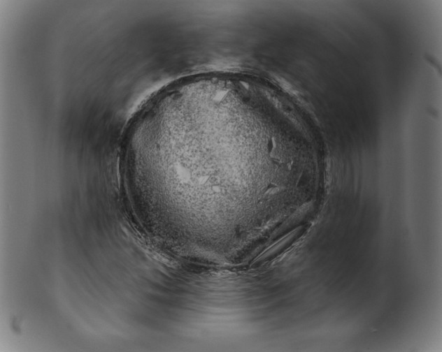 X0000099951214200806061534