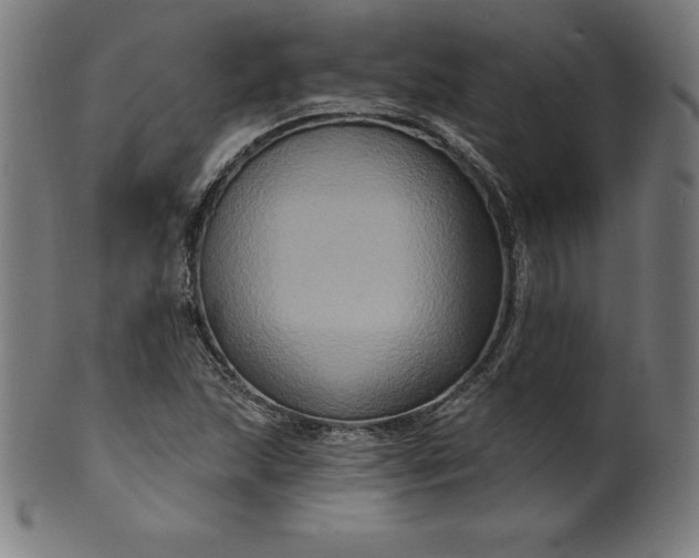 X0000099951215200806061534