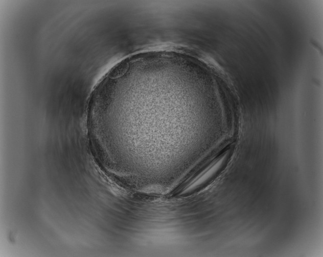 X0000099951216200806061534