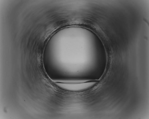 X0000099951217200806061534