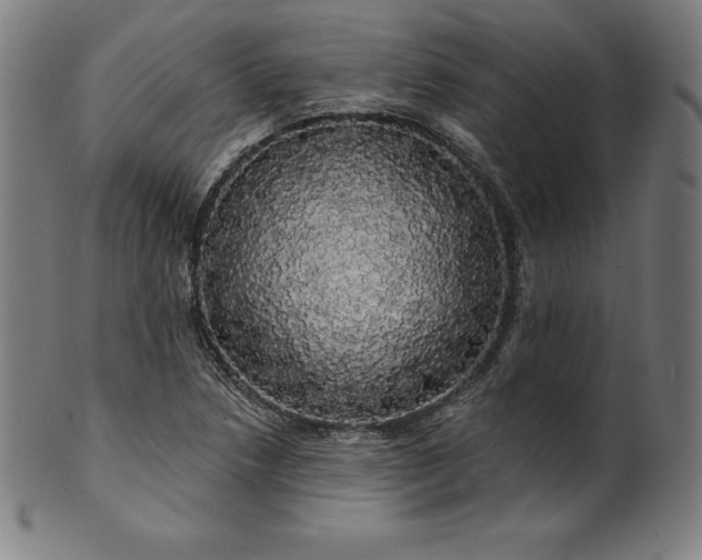 X0000099951218200806061534