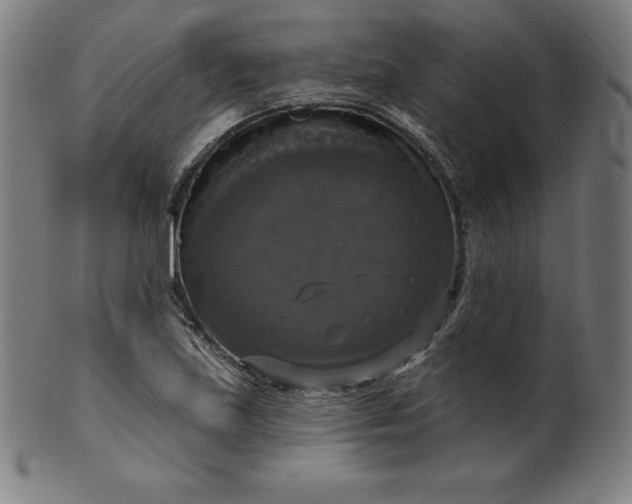 X0000099951219200806061534