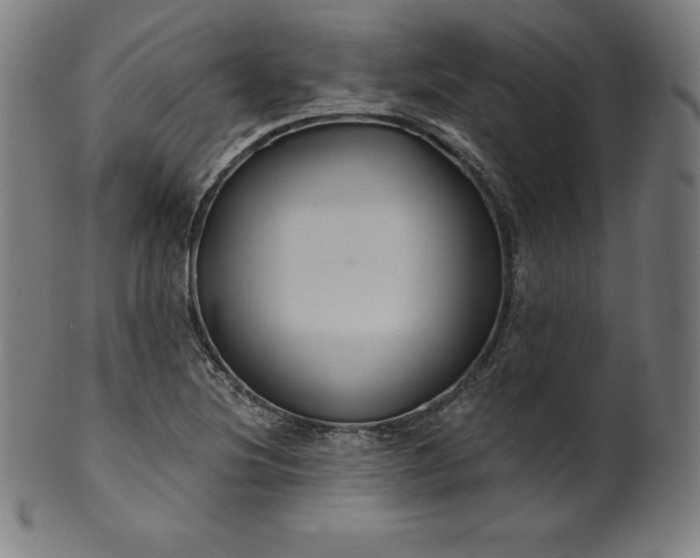 X0000099951220200806061534