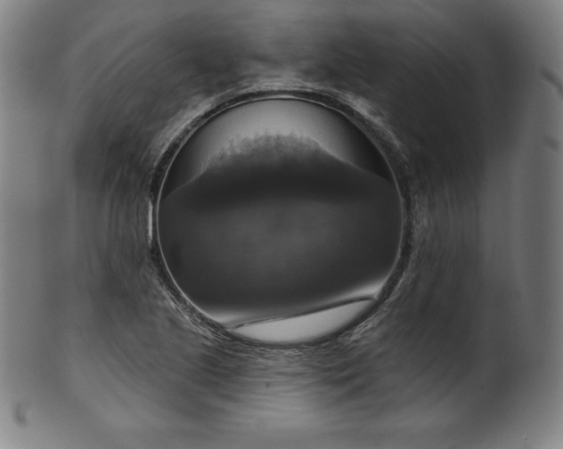 X0000099951221200806061534