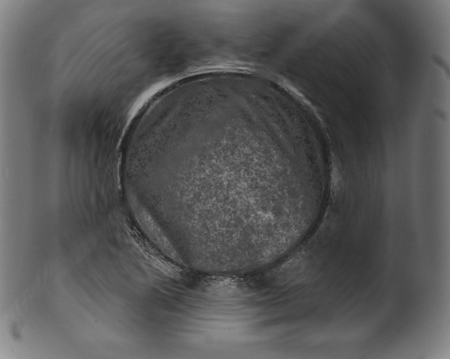 X0000099951222200806061534