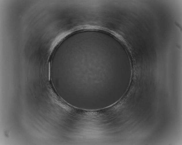 X0000099951223200806061534