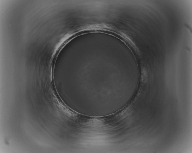 X0000099951224200806061534