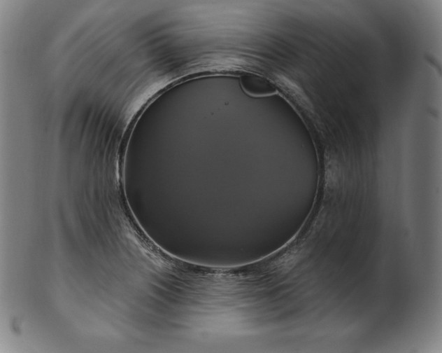 X0000099951226200806061534