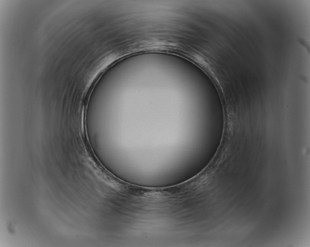 X0000099951227200806061534