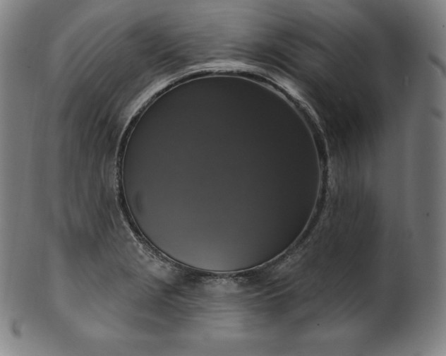 X0000099951229200806061534