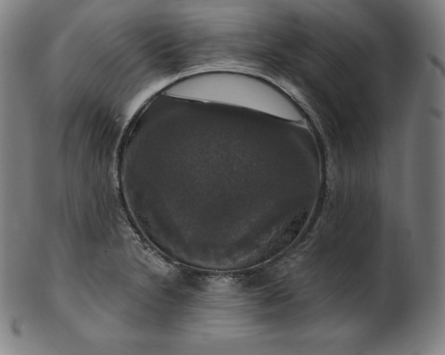 X0000099951230200806061534