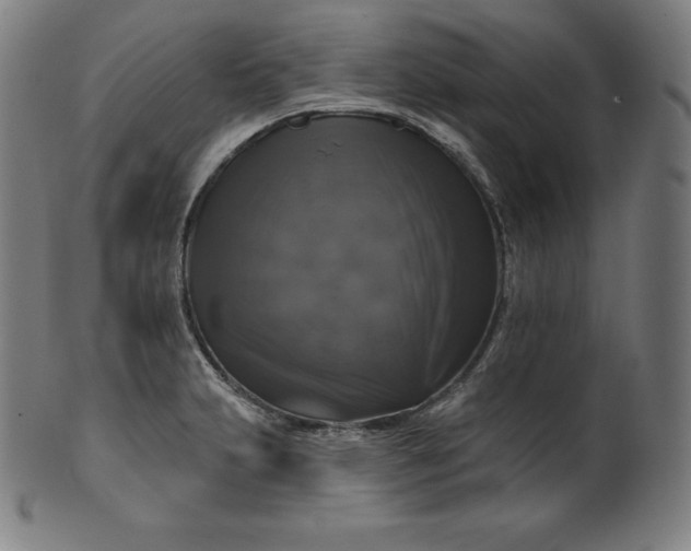 X0000099951231200806061535