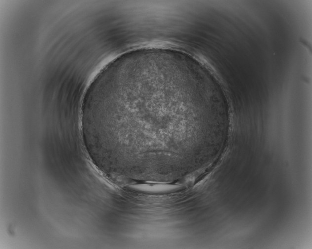 X0000099951232200806061535