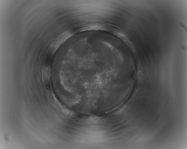 X0000099951233200806061535