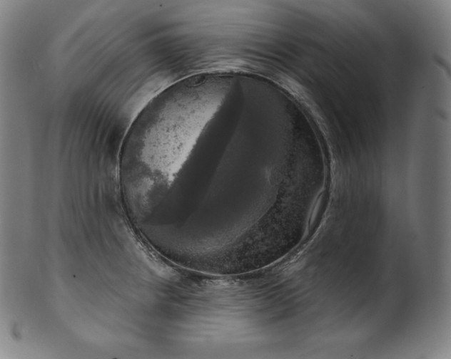 X0000099951234200806061535