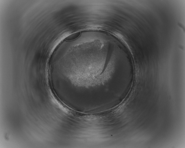 X0000099951235200806061535