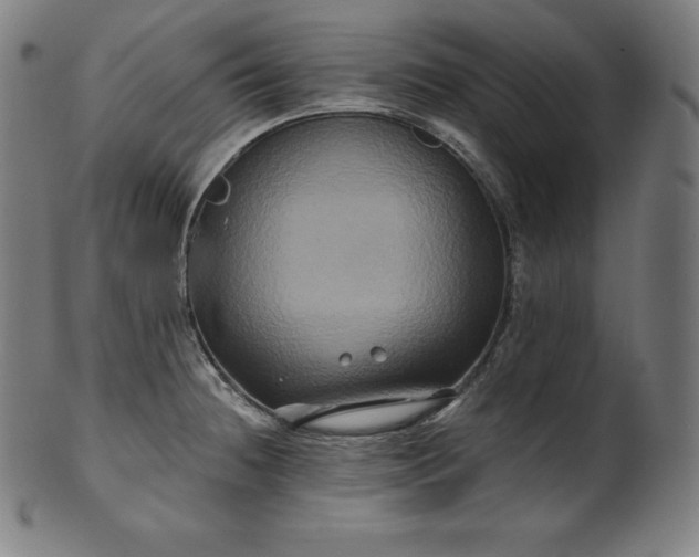 X0000099951236200806061535