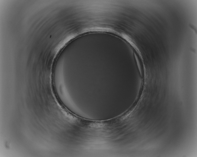 X0000099951237200806061535