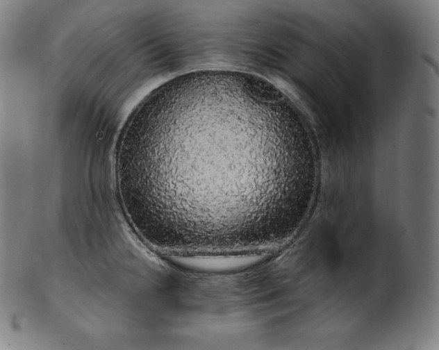 X0000099951238200806061535