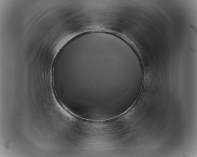 X0000099951239200806061535