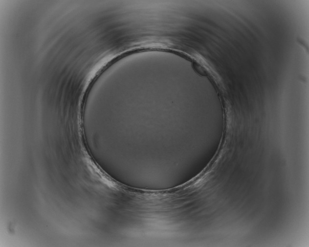 X0000099951240200806061535