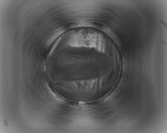 X0000099951241200806061535