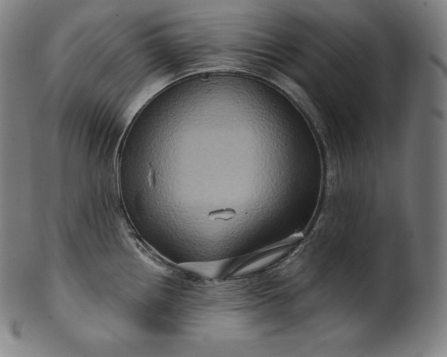 X0000099951242200806061535