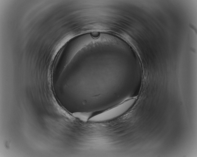 X0000099951243200806061535