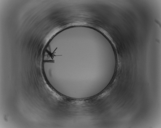 X0000099951245200806061535