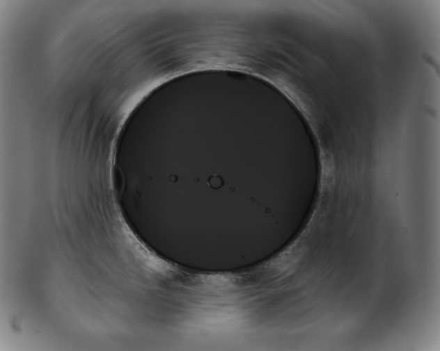 X0000099951246200806061535